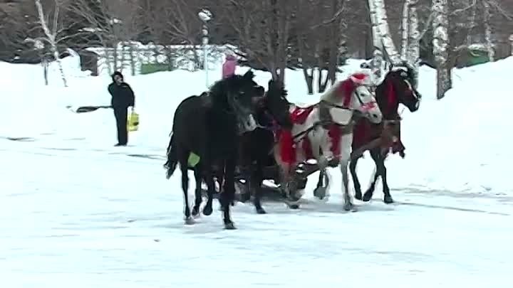 Зиму провожаем, весну встречаем! 2006