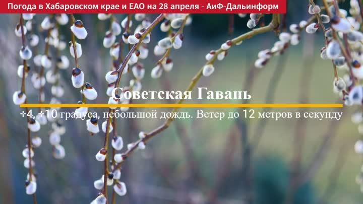 Погода в Хабаровском крае и ЕАО. 28.04.2024