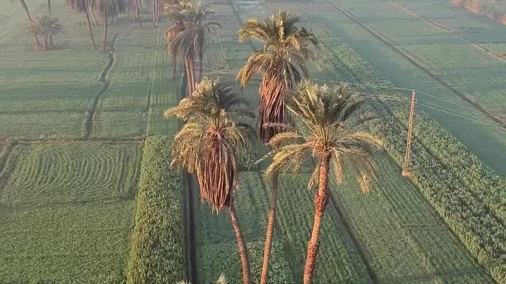 Полет на воздушном шаре