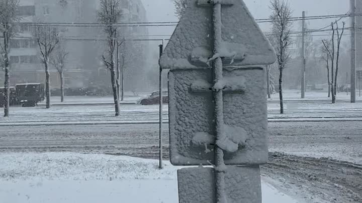 Апрельская метель в Витебске