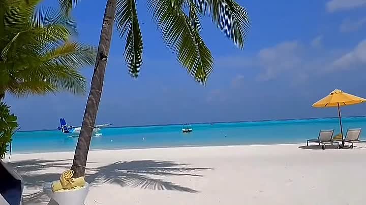 МИР 🌍 ПРЕКРАСЕН  / Мальдивы