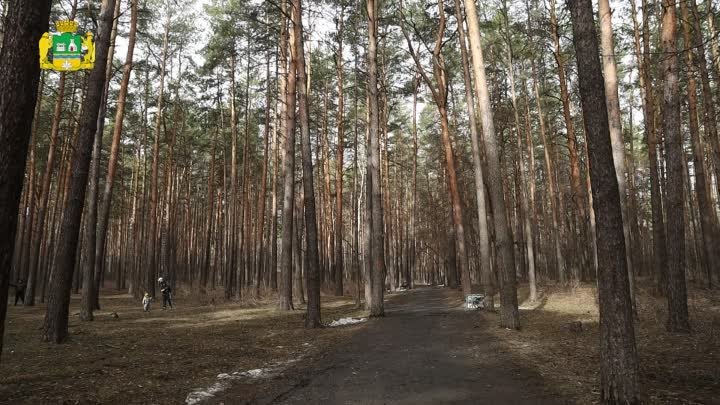 Горожане поддержали парк "Семь ключей" бегом