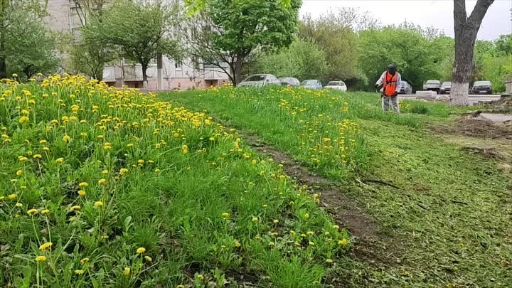 В Белгородском районе прошёл Всероссийский субботник в рамках ФКГС