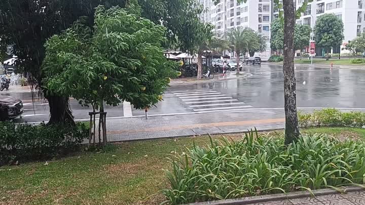 Первый дождь в этом году во Вьетнаме.
