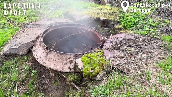 Народный фронт|Новгородская область