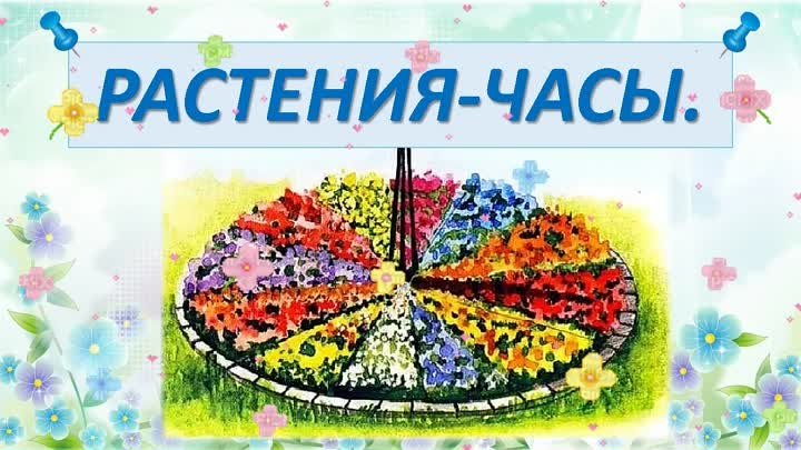 растения часы