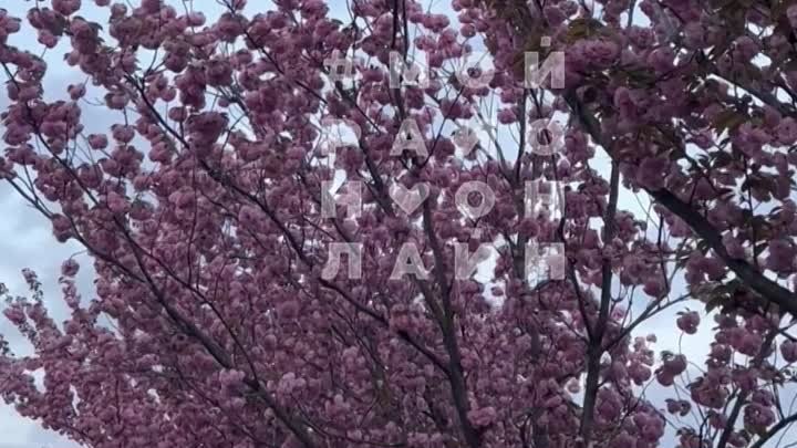 Видео опубликовано через РедакцияСRM