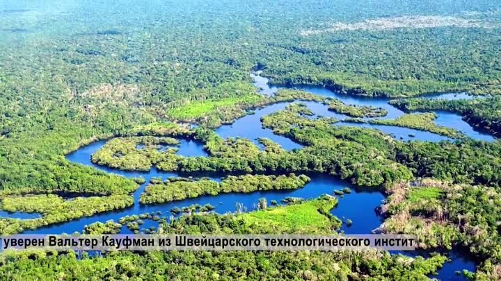 Причины отсутствия мостов через Амазонку