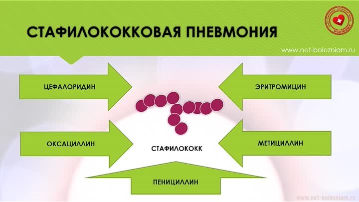 Лечение стафилококковой пневмонии #стафилококк #пневмония #инфекция  ...