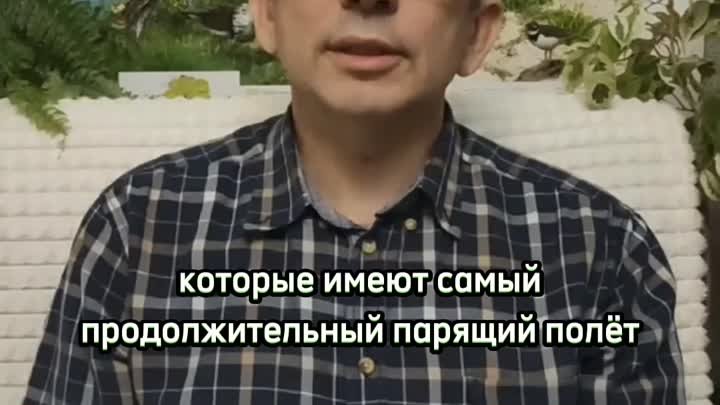 Запрашаем на лекцыю!.mp4