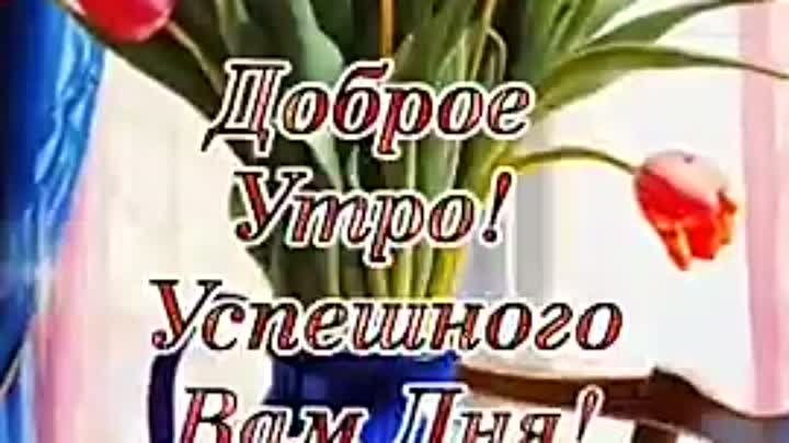 VID_20240504_150940_833.mp4