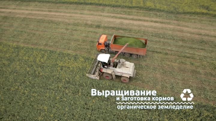 Рузское Молоко - производство от поля до прилавка