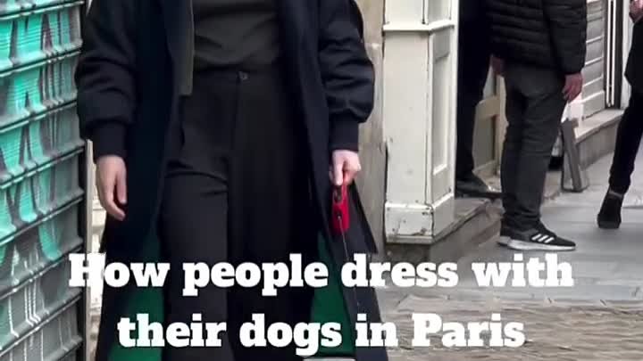 Люди, собаки, одежда и Париж