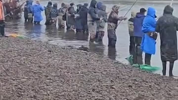 Рыбалка на симу на Сахалине.mp4