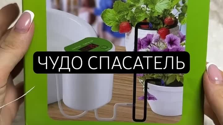 Арт. 197161121 мои супер находки #wildberries #ozon #aliexpress