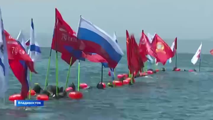 "Победный заплыв": с флагами преодолели дистанцию пловцы в ...