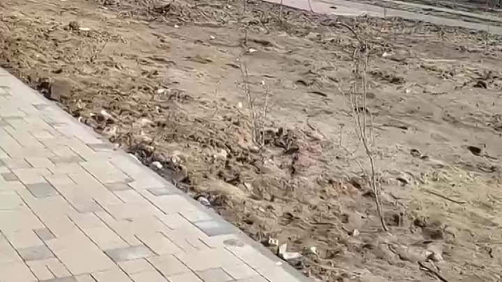 Новый парк  пустырь  " Текстильщик" мусор, грязь.