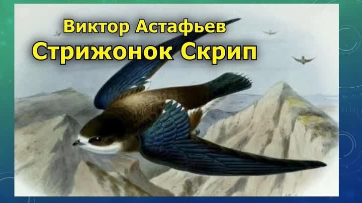 Стрижонок Скрип