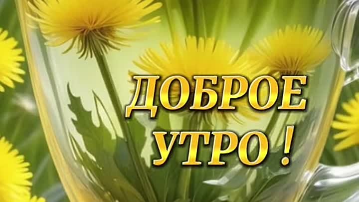 С ДОБРЫМ УТРОМ!!!