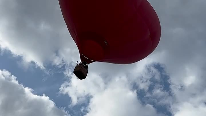 Полет молодоженов на воздушном шаре
