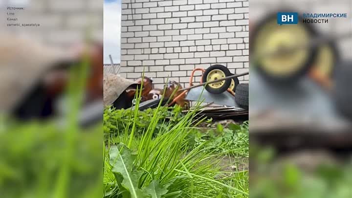 Во Владимирской области спасатели взрывали кеги из-под пива
