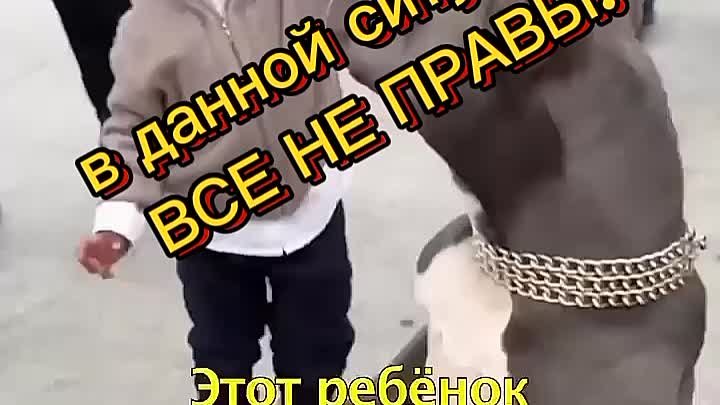 Что происходит 🤔?