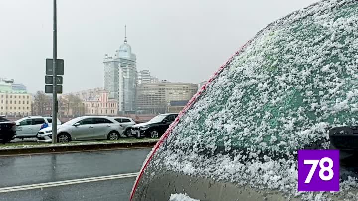 Майский град в Петербурге