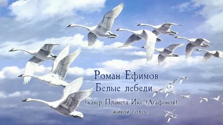 Роман Ефимов Белые лебеди (кавер Планета Икс (Агафонов))живой голос