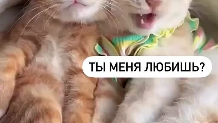 Неубедительно 😁