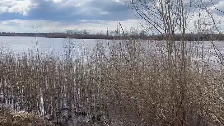 Video by Valentin Mironov