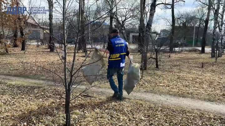 Амурские партийцы высадили новые деревья на аллее им. В.В. Жириновского