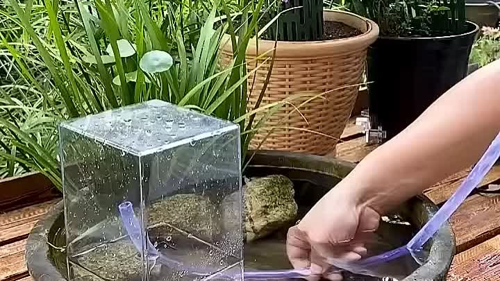 Floating Akuarium Aquarium Melayang.webm