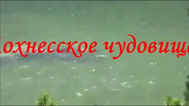 "Лохнесское чудовище" плывёт по Сибирской реке