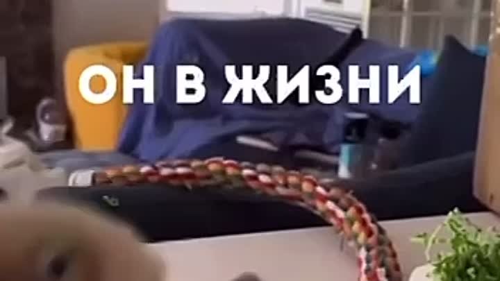 Узнали кого?