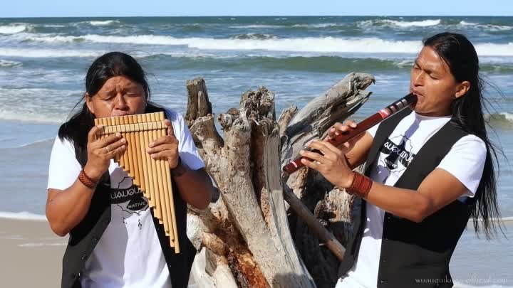 My Heart Will Go On / Heart Touching Panflute Cover - Wuauquikuna