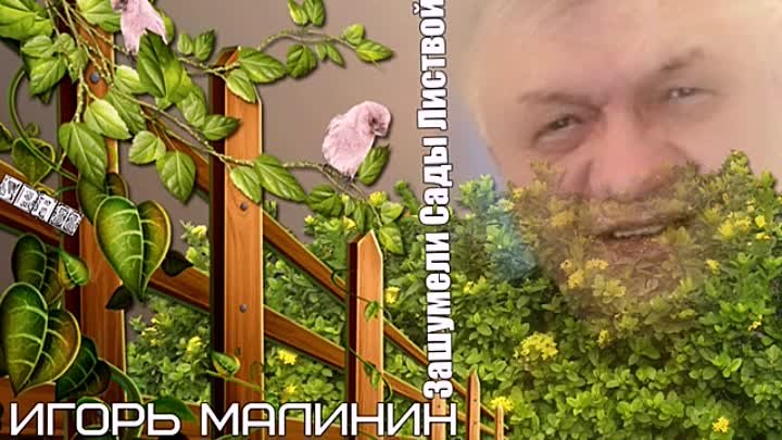 788. Игорь Малинин - Зашумели Сады Листвой. НОВИНКИ ШАНСОНА.