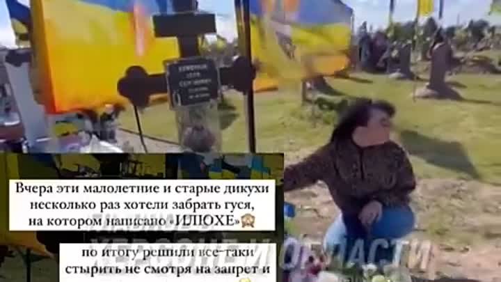 Цэ эвропа