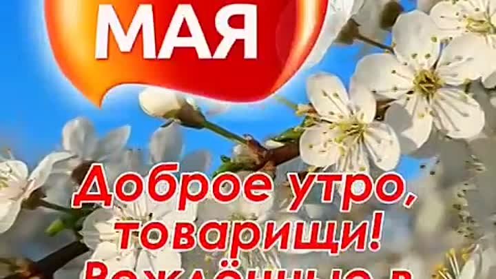 МИР.ТРУД.МАЙ! УРААААА