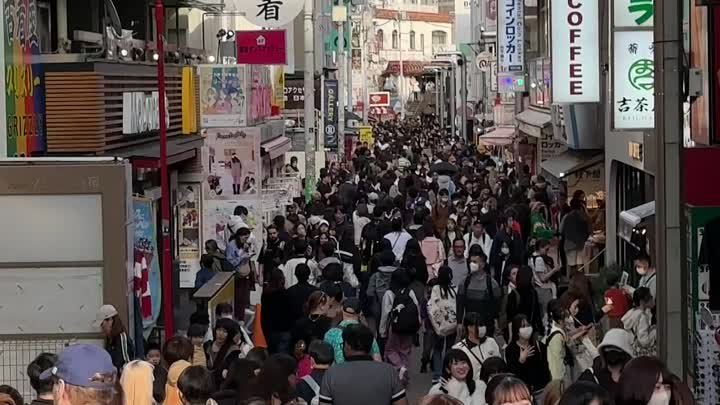 Видели столько людей на одной улице? Харадзюку, Токио