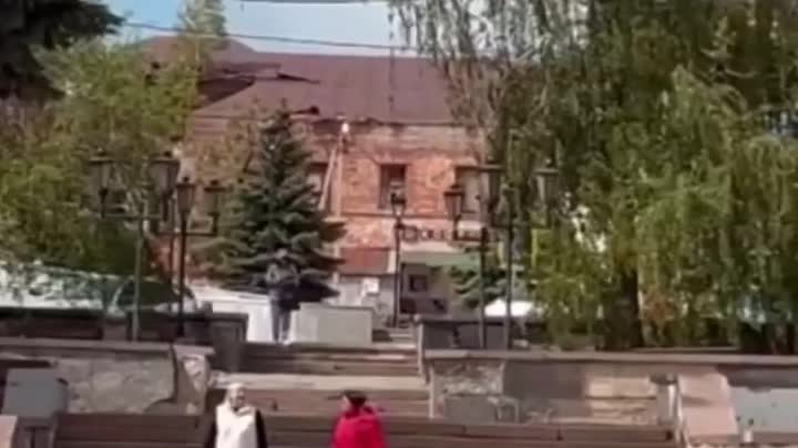 Олень в городе.mp4