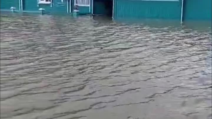 Усть-Ишимский район. Потоп 2024 год. Моя родина😢