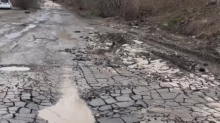 Видео от Надежды Савиной