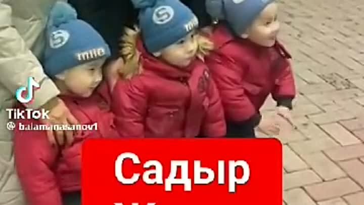 Садыр жыгылбаса болду