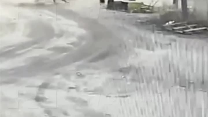 Две бродячие собаки чуть не загрызли 13-летнюю девочку в Бурятии