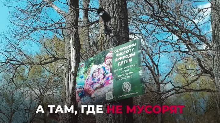 Относись к природе бережно