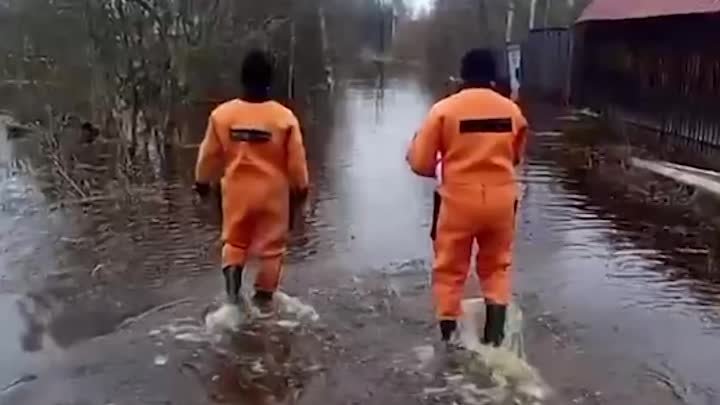 Паводковая ситуация в Ленобласти