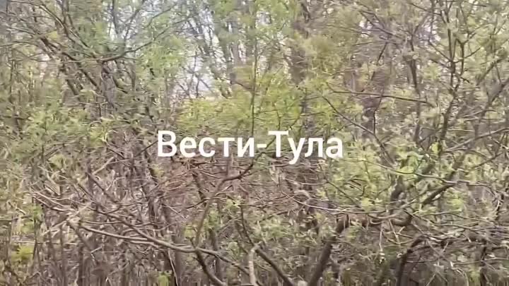 ЧП: Тульская область