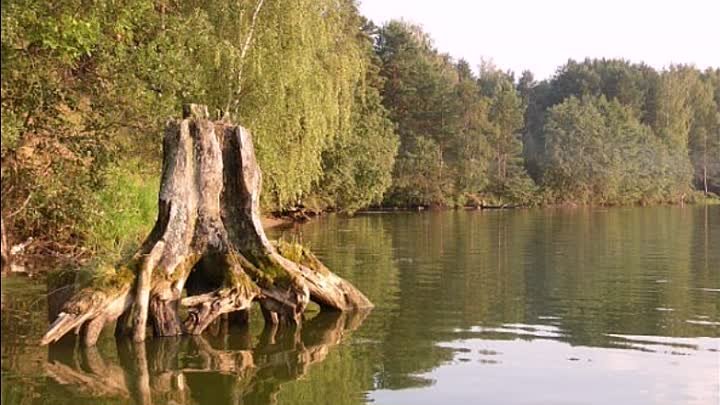 Буктрейлер по книге В.М.Гарнова