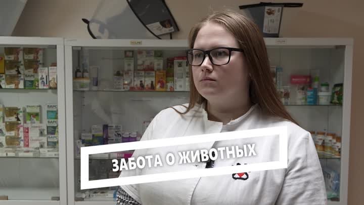 «Лаковый май — собаку забирай!»