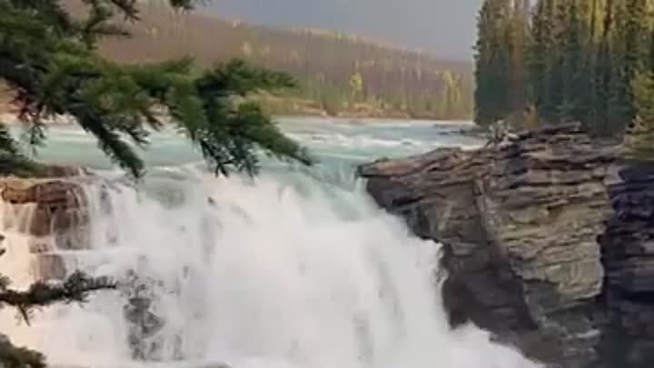 Водопад Атабаска в Альберте Канада
